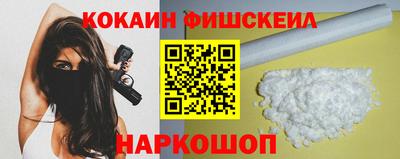 твердый Гатчина