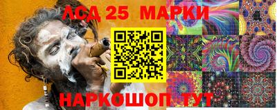 твердый Гатчина