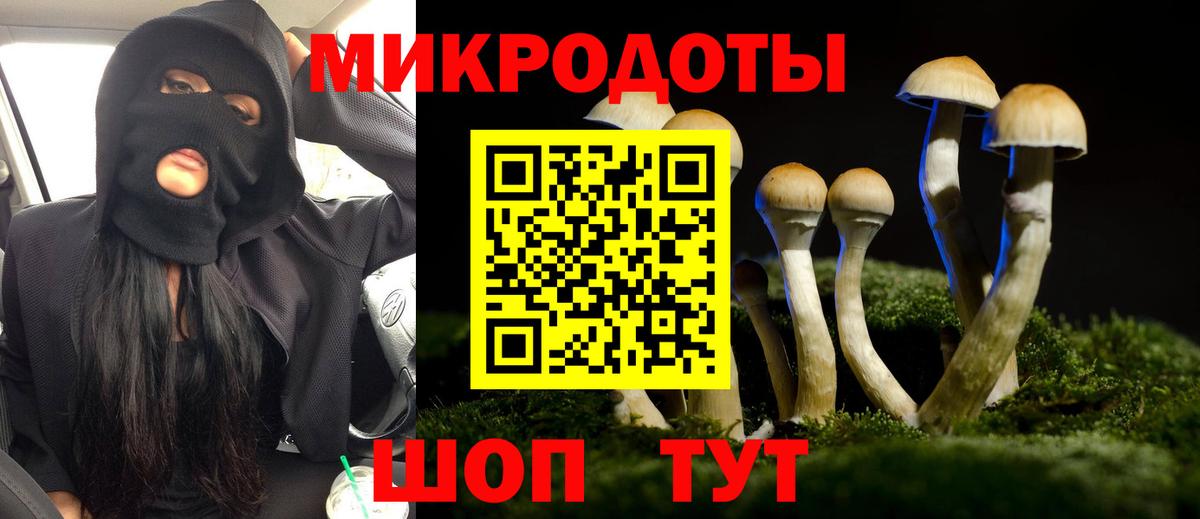 Псилоцибиновые грибы мицелий Ялуторовск